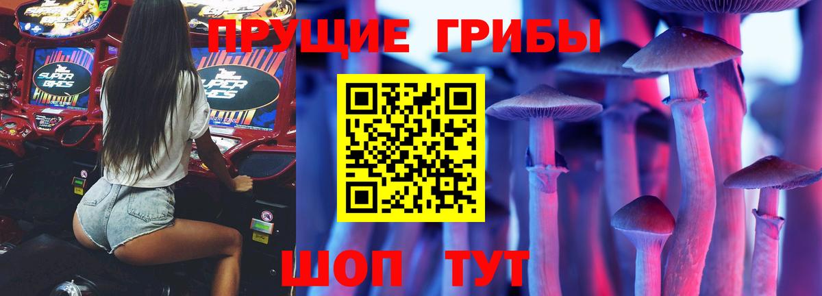 Псилоцибиновые грибы GOLDEN TEACHER Лесозаводск